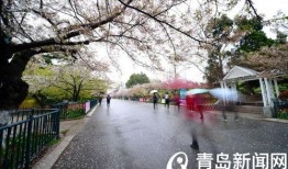 中山公园最新爆料信息网,揭秘公园焕新背后的故事